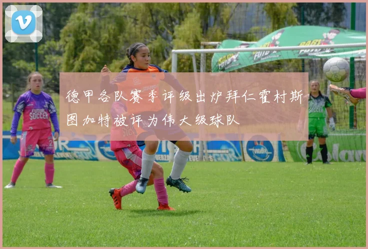 德甲各队赛季评级出炉拜仁霍村斯图加特被评为伟大级球队
